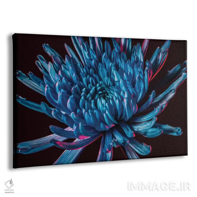 تابلو داوودی عنکبوتی آبی اثر النا کولیـکووا - نمای پرسپکتیو محصول