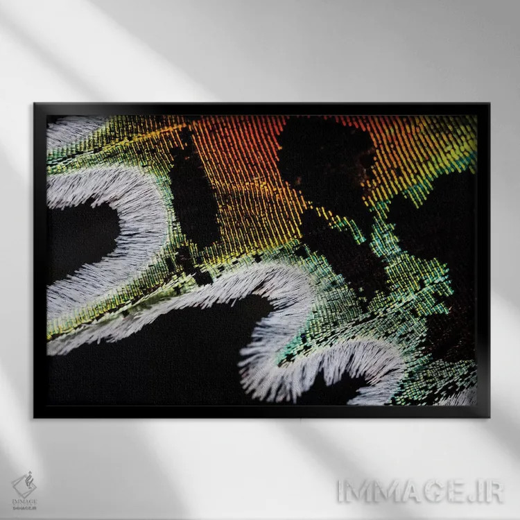 تابلو پروانهٔ غروب تابناک ماداگاسکار اثر النا کولیـکووا - نمای قابدار مشکی