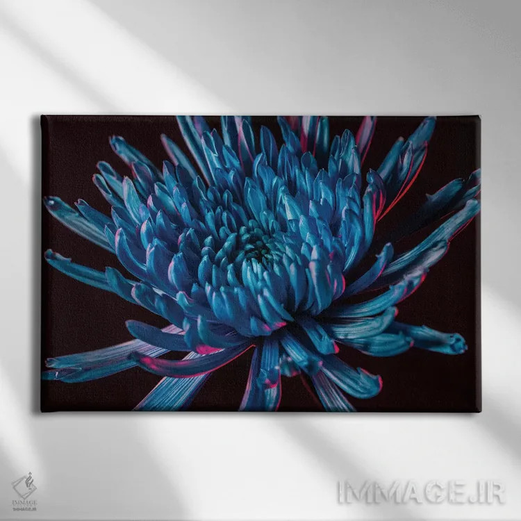 تابلو داوودی عنکبوتی آبی اثر النا کولیـکووا - نمای روبهرو روی دیوار