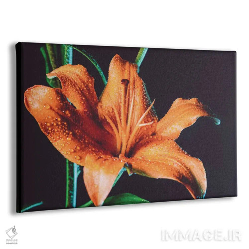 تابلو شبنم سوسن ببری اثر النا کولیـکووا - نمای پرسپکتیو محصول