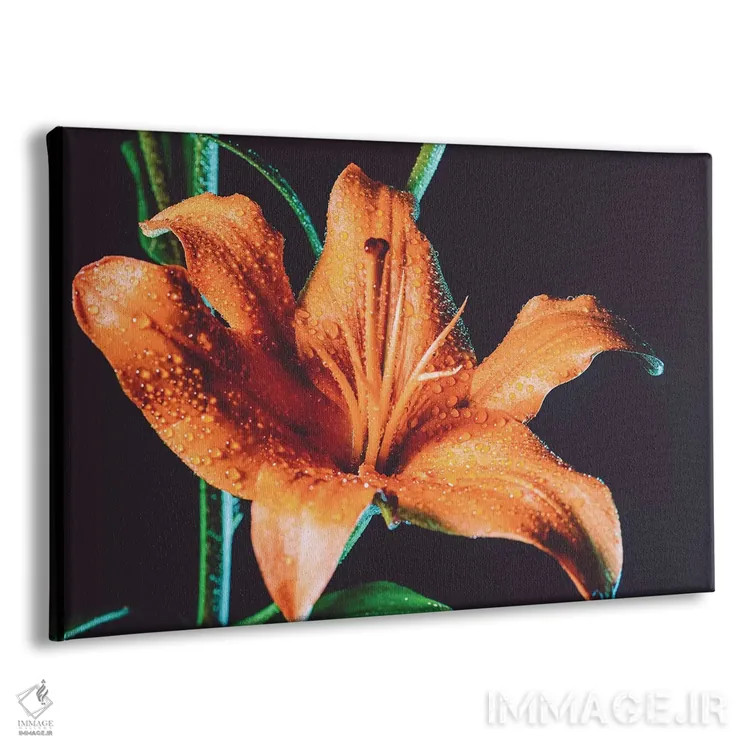 تابلو شبنم سوسن ببری اثر النا کولیـکووا - نمای پرسپکتیو محصول