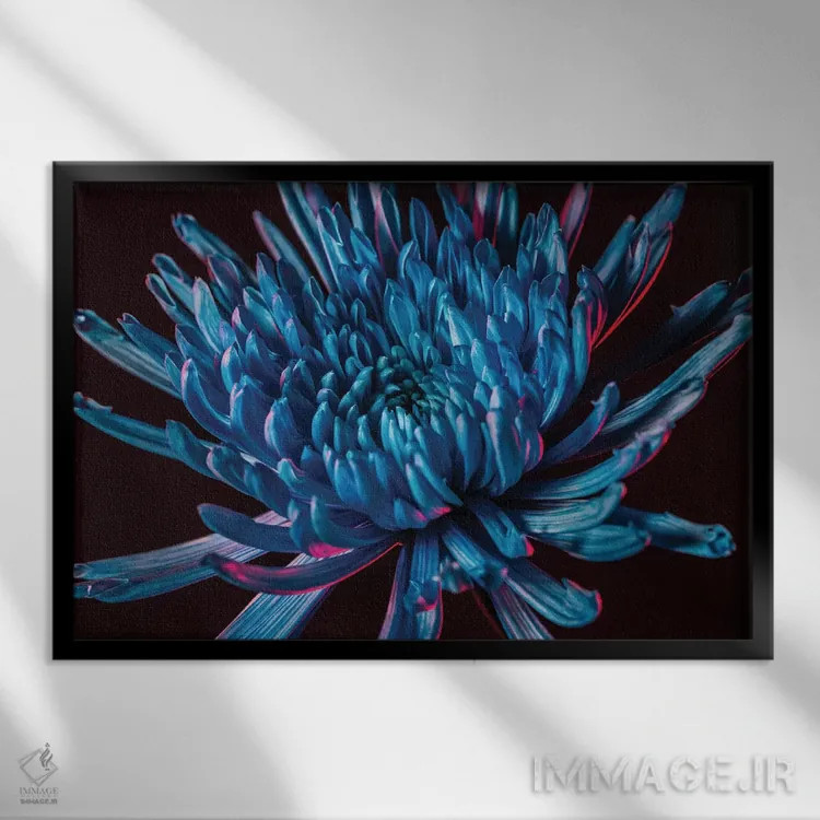 تابلو داوودی عنکبوتی آبی اثر النا کولیـکووا - نمای قابدار مشکی