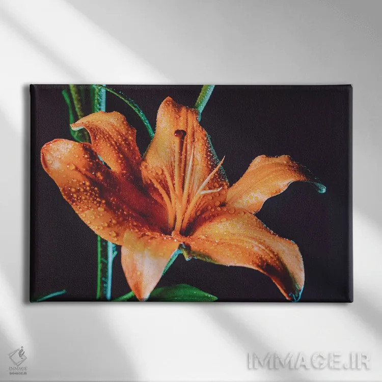 تابلو شبنم سوسن ببری اثر النا کولیـکووا - نمای روبهرو روی دیوار