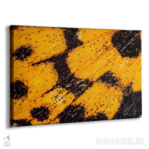 تابلو بالهای پروانه از باغ من اثر النا کولیـکووا - نمای پرسپکتیو محصول