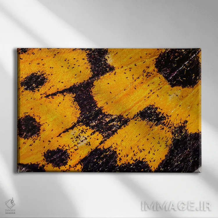 تابلو بالهای پروانه از باغ من اثر النا کولیـکووا - نمای روبهرو روی دیوار