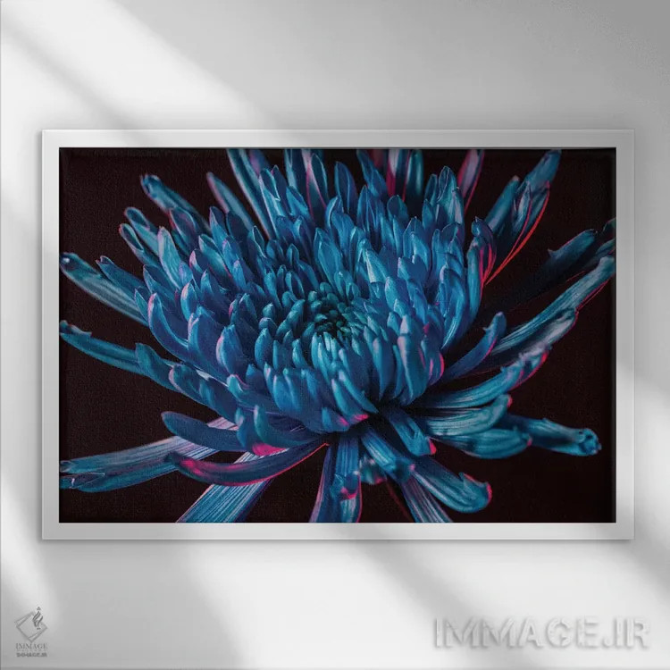 تابلو داوودی عنکبوتی آبی اثر النا کولیـکووا - نمای قابدار سفید