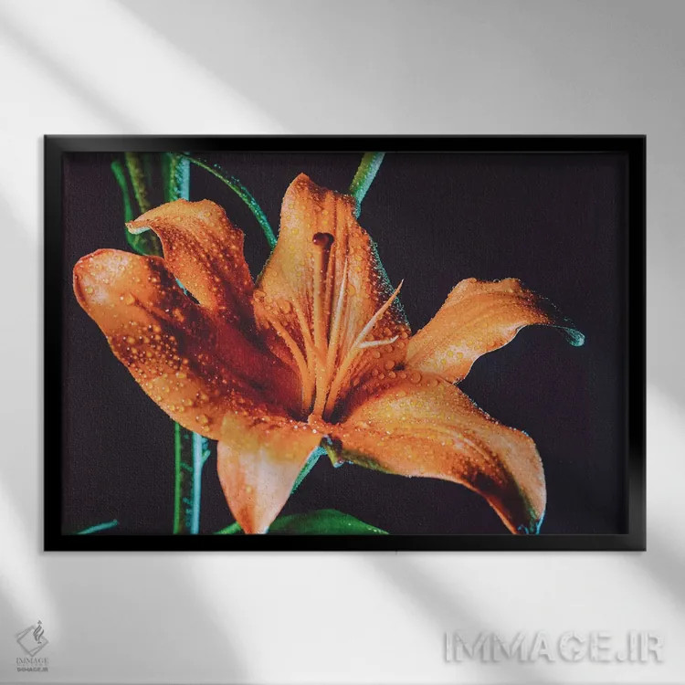 تابلو شبنم سوسن ببری اثر النا کولیـکووا - نمای قابدار مشکی