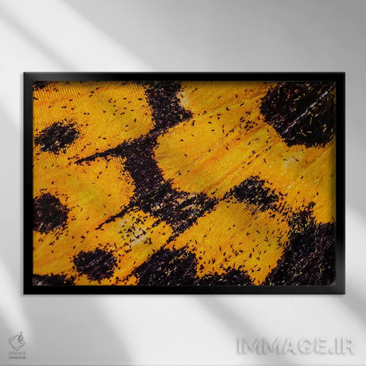 تابلو بالهای پروانه از باغ من اثر النا کولیـکووا - نمای قابدار مشکی