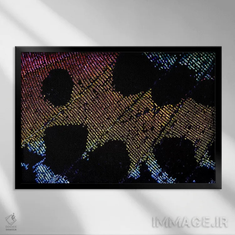 تابلو زیبایی پروانه غروب ماداگاسکار اثر النا کولیـکووا - نمای قابدار مشکی