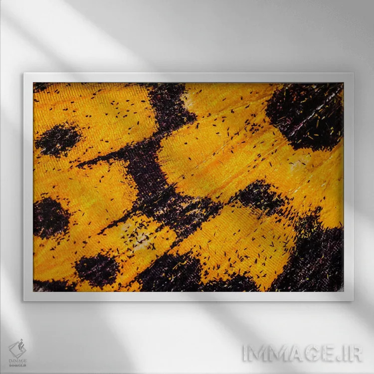 تابلو بالهای پروانه از باغ من اثر النا کولیـکووا - نمای قابدار سفید