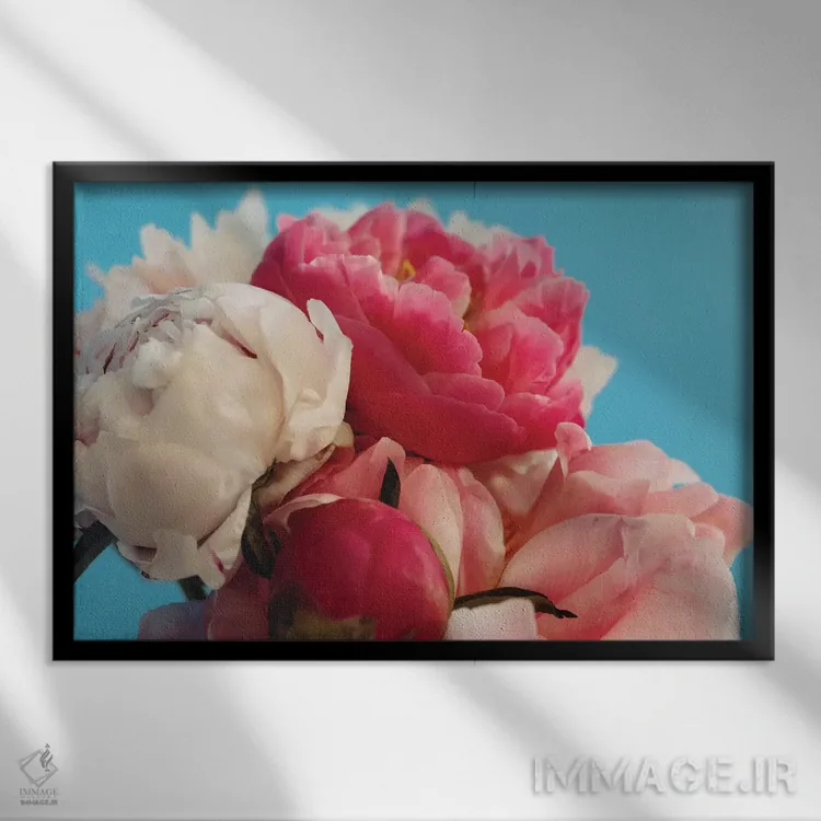 تابلو گل صدتومانی تابستانی اثر النا کولیـکووا - نمای قابدار مشکی