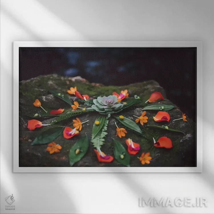 تابلو ماندالا گلدار (طرح هنری) اثر النا کولیـکووا - نمای قابدار سفید