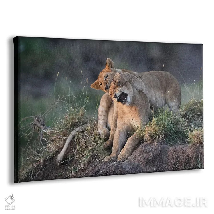 تابلو آخ! اثر المر وایس - نمای پرسپکتیو محصول