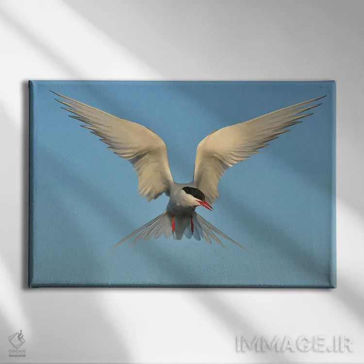 تابلو پرستوی دریای شمالگان اثر المر وایس - نمای روبهرو روی دیوار
