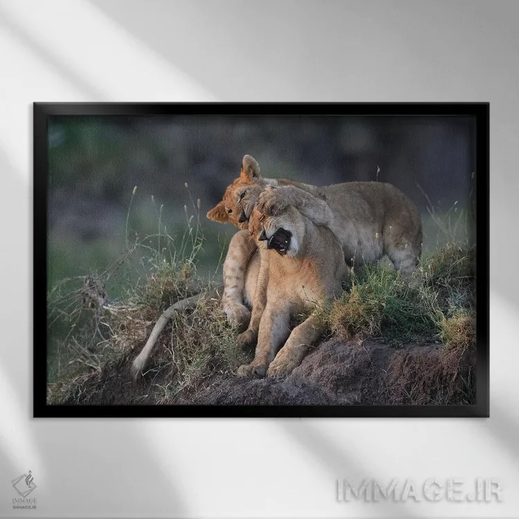 تابلو آخ! اثر المر وایس - نمای قابدار مشکی