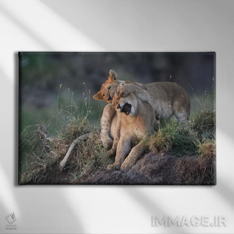 تابلو آخ! اثر المر وایس - نمای روبهرو روی دیوار