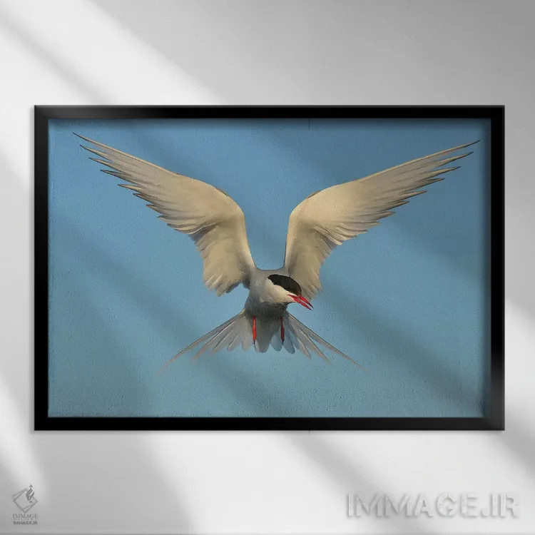 تابلو پرستوی دریای شمالگان اثر المر وایس - نمای قابدار مشکی