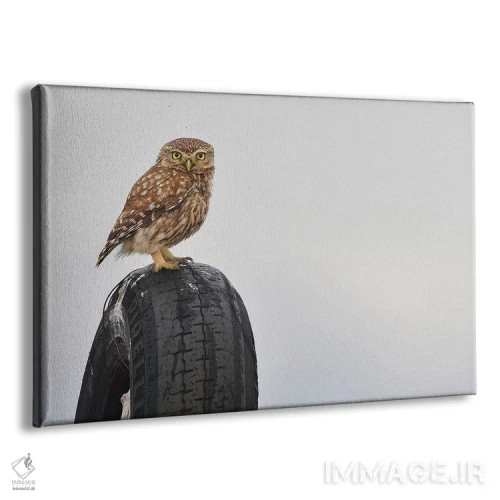 تابلو پیرلی (برند یا اسم خاص) اثر المر وایس - نمای پرسپکتیو محصول