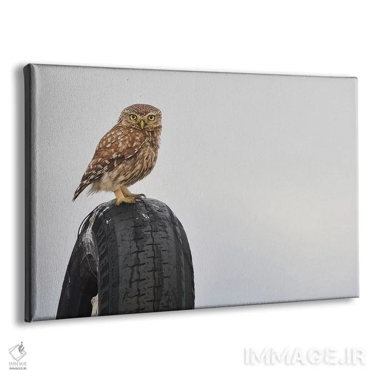 تابلو پیرلی (برند یا اسم خاص) اثر المر وایس - نمای پرسپکتیو محصول