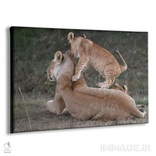 تابلو بازی با مادر اثر المر وایس - نمای پرسپکتیو محصول