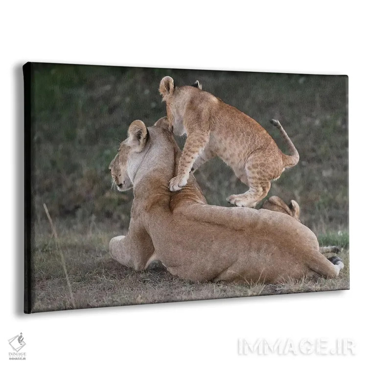 تابلو بازی با مادر اثر المر وایس - نمای پرسپکتیو محصول