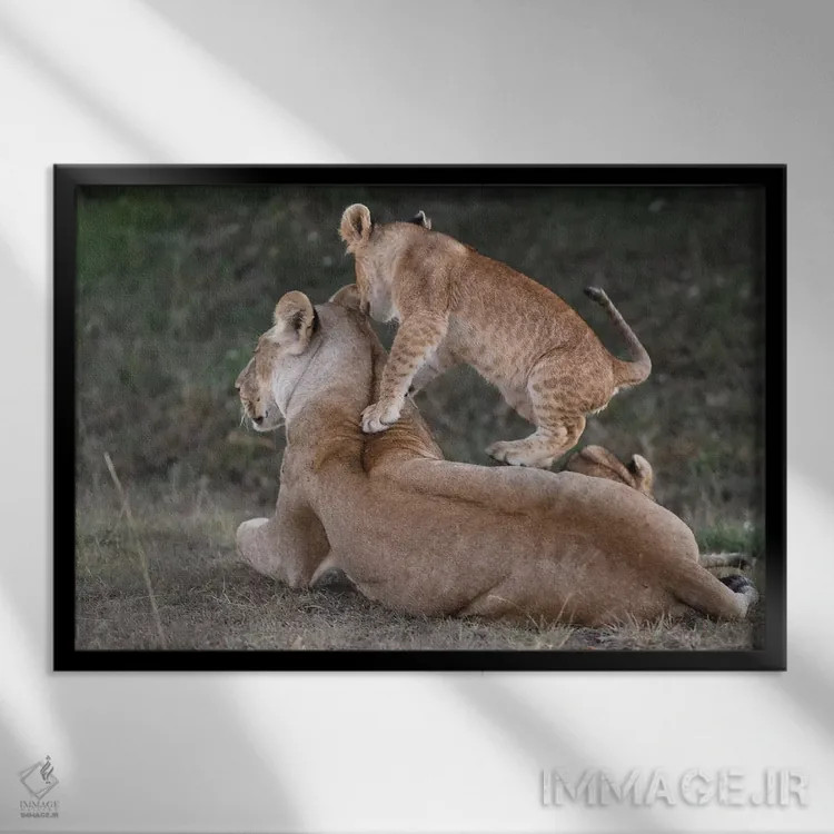 تابلو بازی با مادر اثر المر وایس - نمای قابدار مشکی