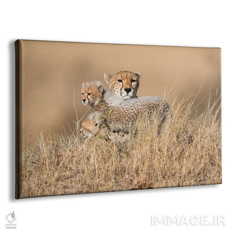 تابلو ملکه مالایکا با تولهها اثر المر وایس - نمای پرسپکتیو محصول