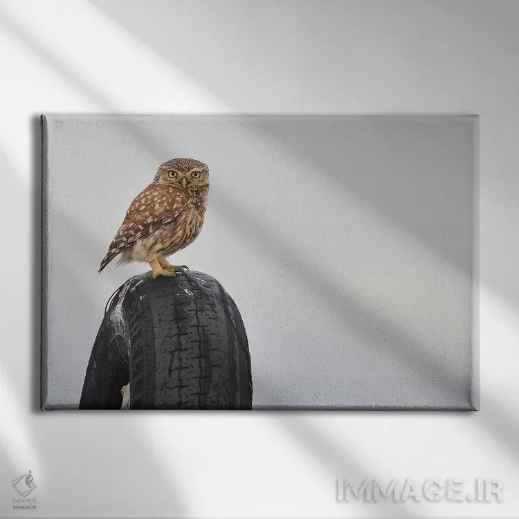 تابلو پیرلی (برند یا اسم خاص) اثر المر وایس - نمای روبهرو روی دیوار