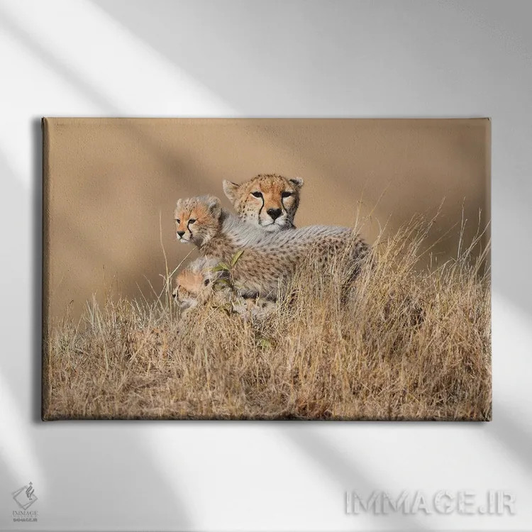 تابلو ملکه مالایکا با تولهها اثر المر وایس - نمای روبهرو روی دیوار