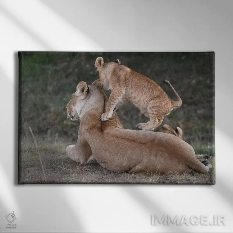 تابلو بازی با مادر اثر المر وایس - نمای روبهرو روی دیوار