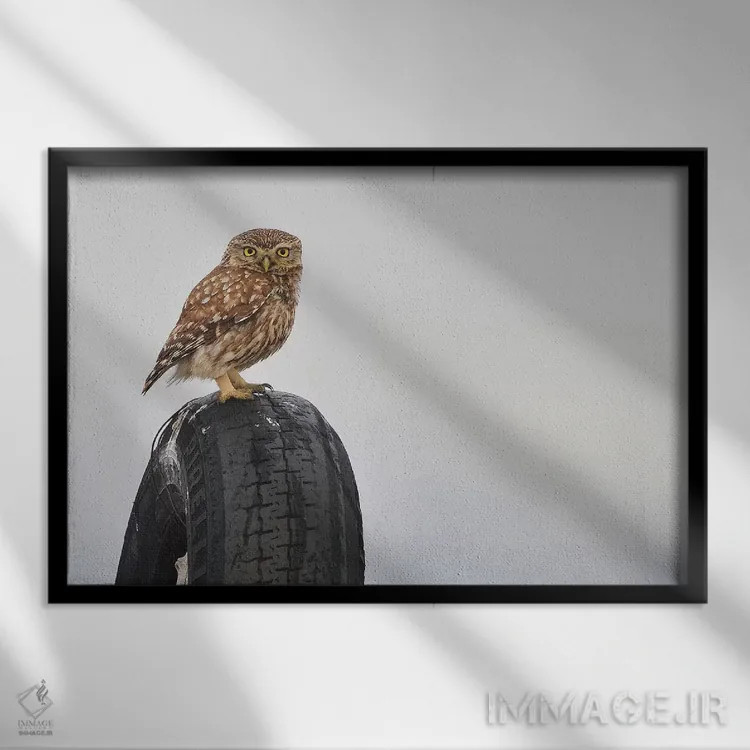 تابلو پیرلی (برند یا اسم خاص) اثر المر وایس - نمای قابدار مشکی