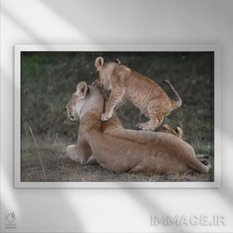 تابلو بازی با مادر اثر المر وایس - نمای قابدار سفید