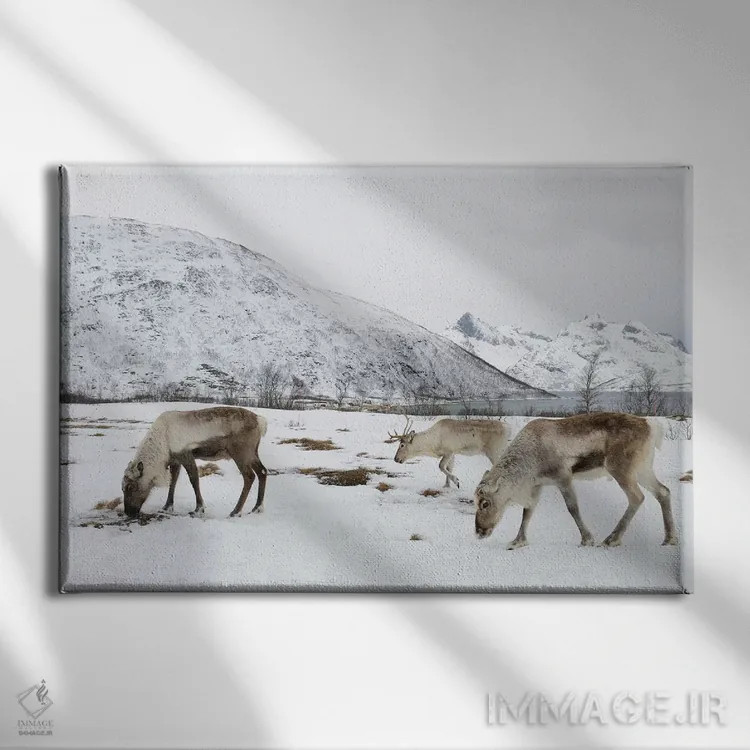 تابلو گوزنهای شمالی اثر المر وایس - نمای روبهرو روی دیوار