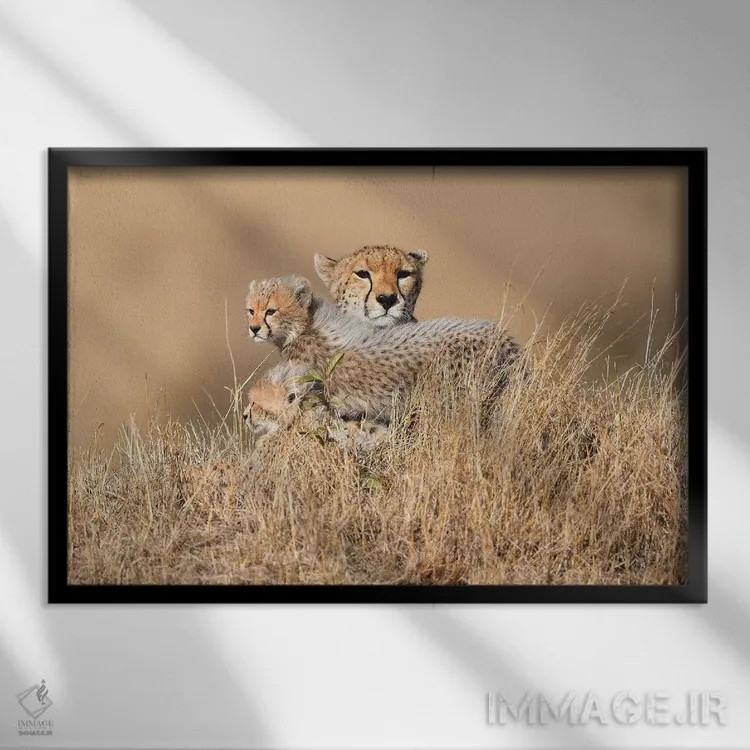 تابلو ملکه مالایکا با تولهها اثر المر وایس - نمای قابدار مشکی