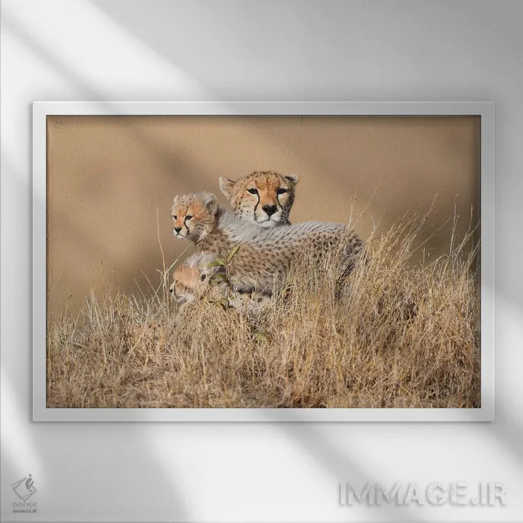 تابلو ملکه مالایکا با تولهها اثر المر وایس - نمای قابدار سفید