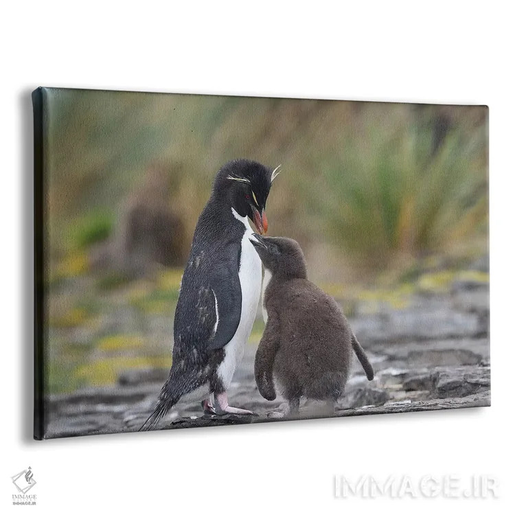 تابلو التماس برای غذا اثر المر وایس - نمای پرسپکتیو محصول