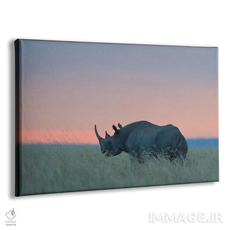 تابلو غروب کرگدن اثر المر وایس - نمای پرسپکتیو محصول