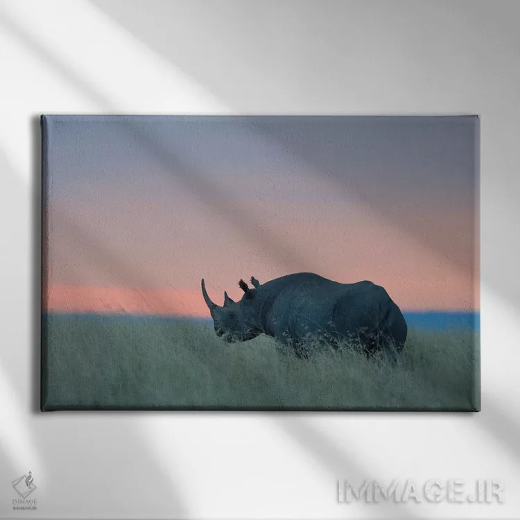 تابلو غروب کرگدن اثر المر وایس - نمای روبهرو روی دیوار