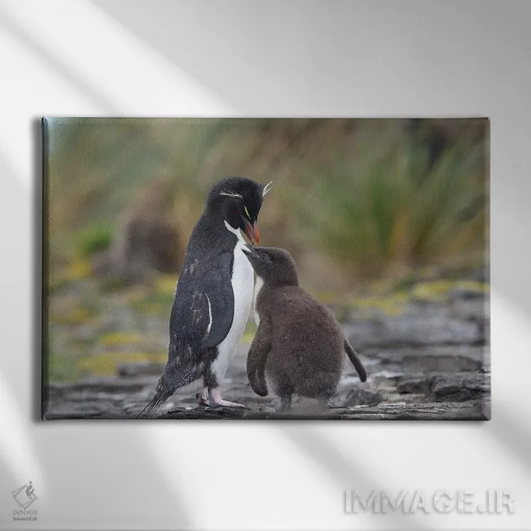 تابلو التماس برای غذا اثر المر وایس - نمای روبهرو روی دیوار