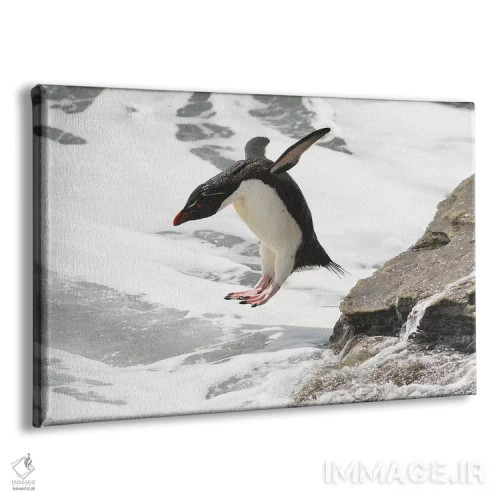 تابلو پرش پنگوئن راکهاپر اثر المر وایس - نمای پرسپکتیو محصول