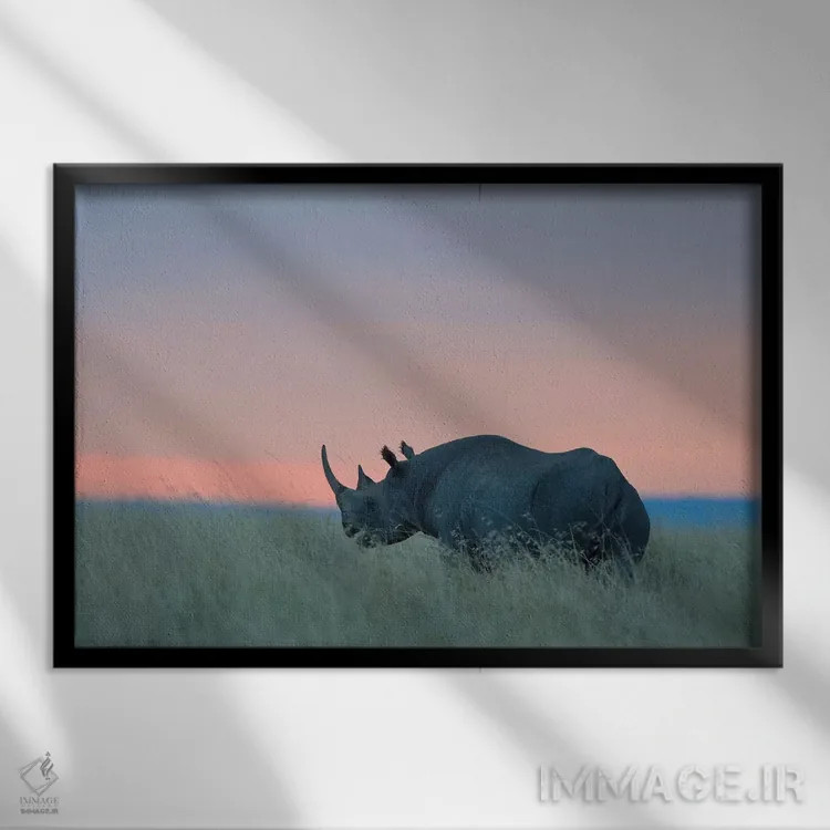 تابلو غروب کرگدن اثر المر وایس - نمای قابدار مشکی