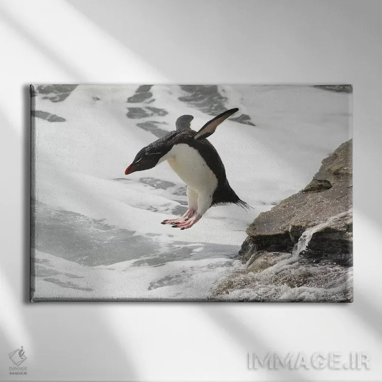 تابلو پرش پنگوئن راکهاپر اثر المر وایس - نمای روبهرو روی دیوار