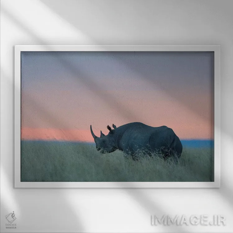 تابلو غروب کرگدن اثر المر وایس - نمای قابدار سفید