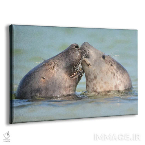 تابلو عشق فوکها اثر المر وایس - نمای پرسپکتیو محصول