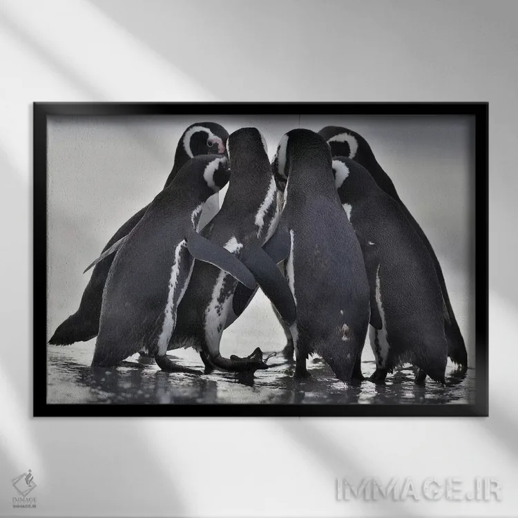 تابلو شایعات اثر المر وایس - نمای قابدار مشکی