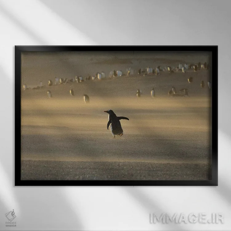 تابلو طوفان شن اثر المر وایس - نمای قابدار مشکی