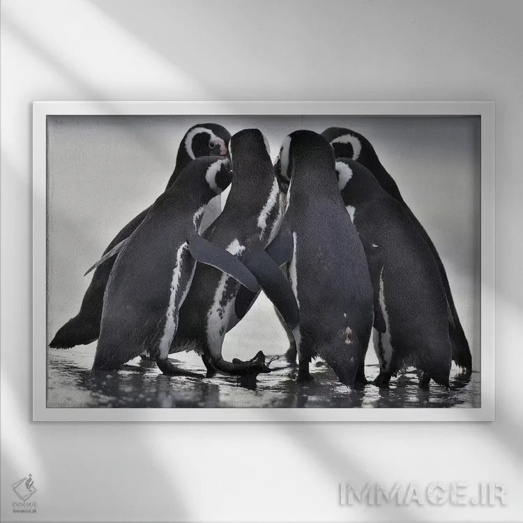 تابلو شایعات اثر المر وایس - نمای قابدار سفید