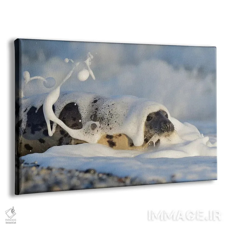 تابلو شامپو اثر المر وایس - نمای پرسپکتیو محصول