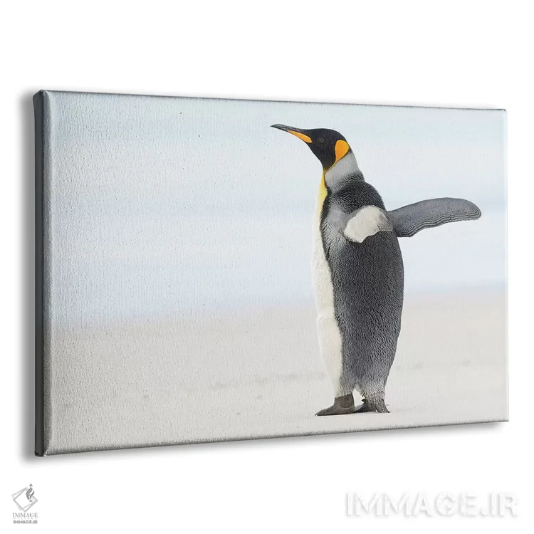 تابلو بالهایت را بگشا اثر المر وایس - نمای پرسپکتیو محصول