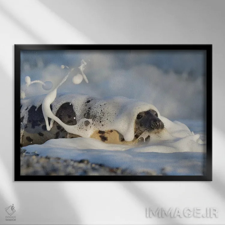 تابلو شامپو اثر المر وایس - نمای قابدار مشکی